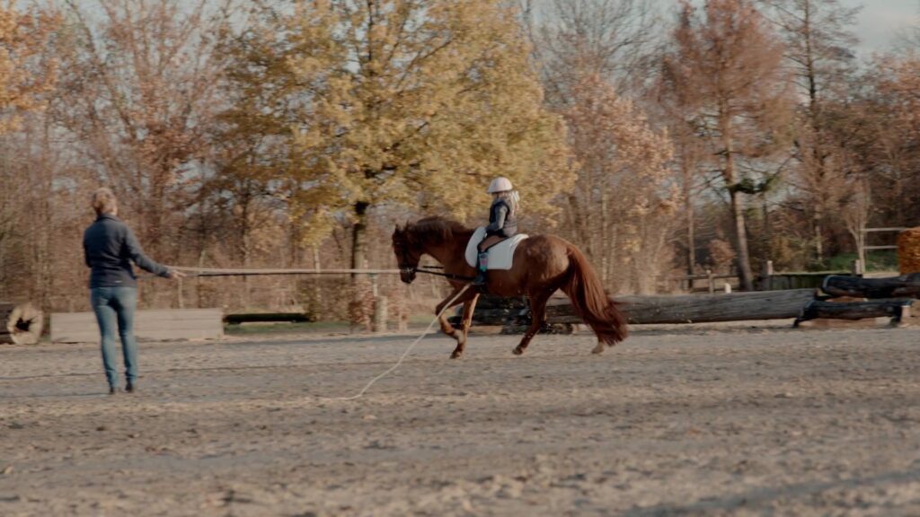 Girl rides a horse in the golden autumn light at the riding arena