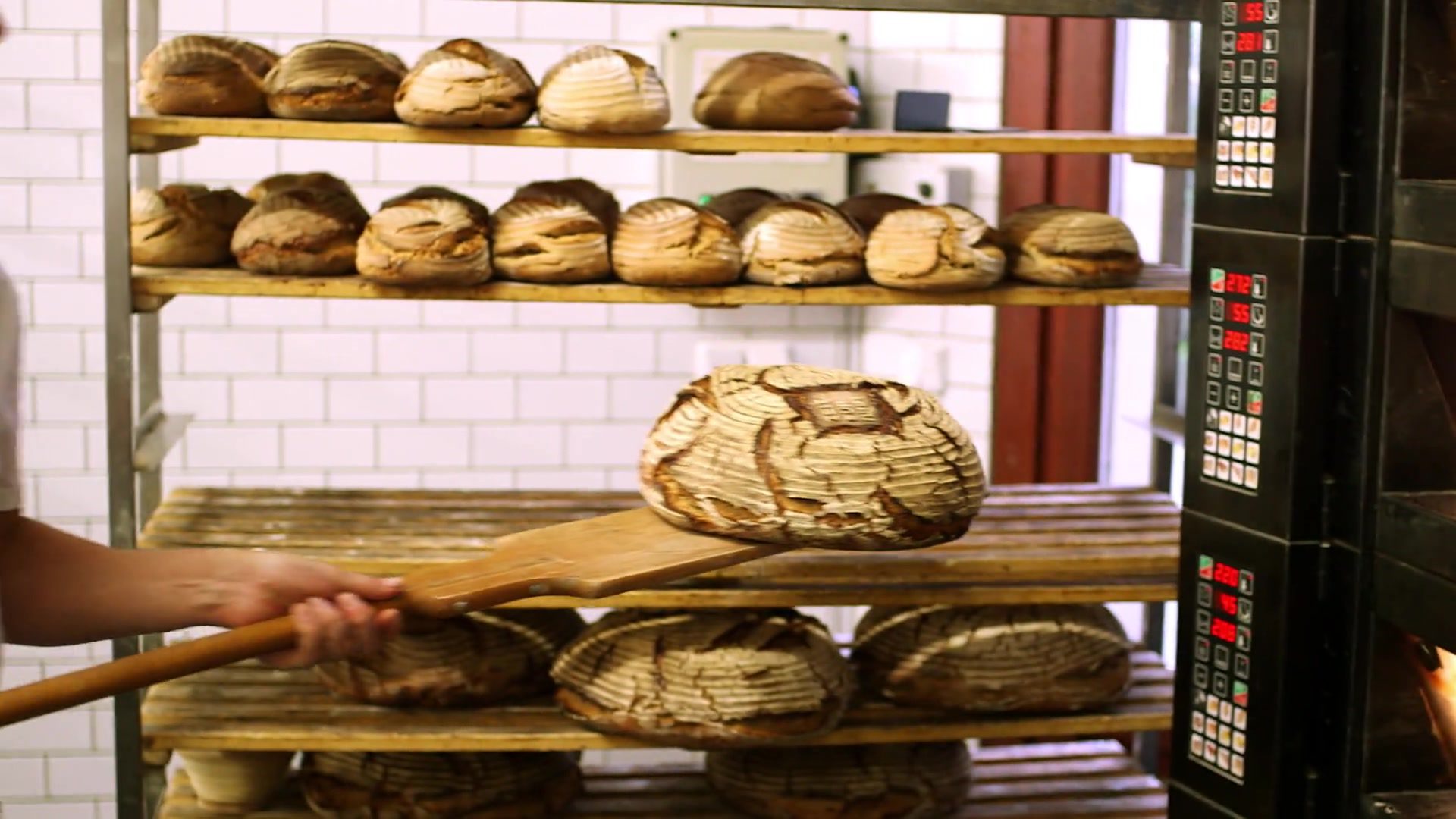 Fresh bread from the oven