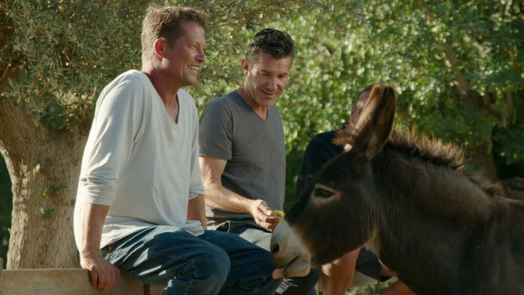 Til Schweiger füttert mit Freunden die Esel auf seiner Finca auf Mallorca.