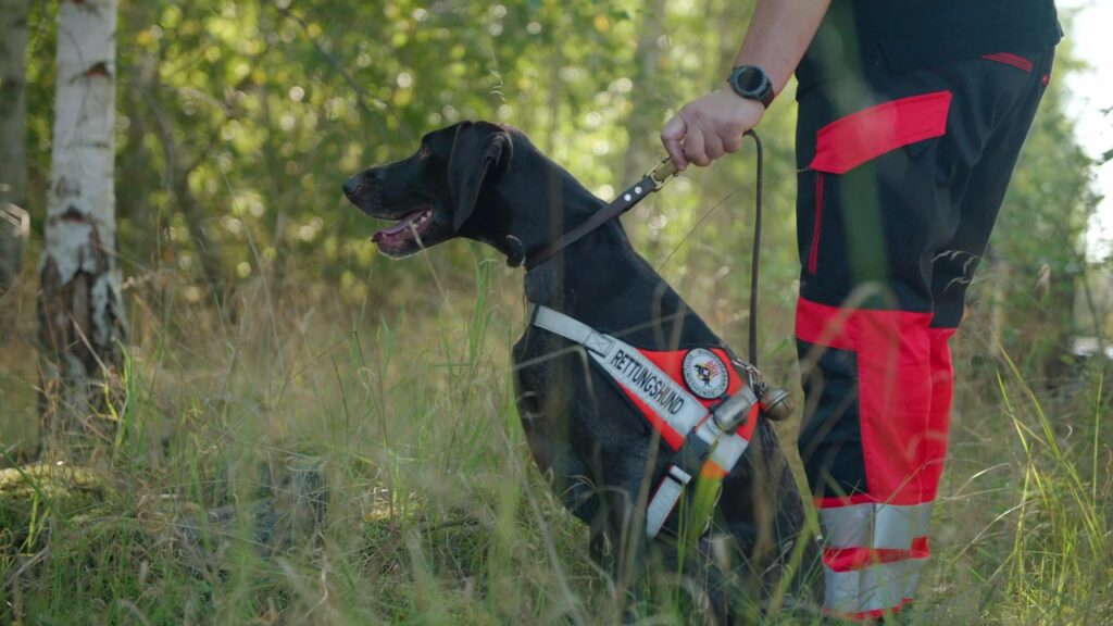 Rettungshund mit Kenndecke sitzt neben seiner Hundeführerin im Wald